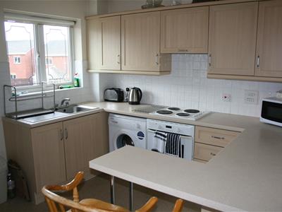 Picture 7
